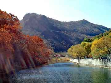 新澳门二四六天天彩，庞家农场